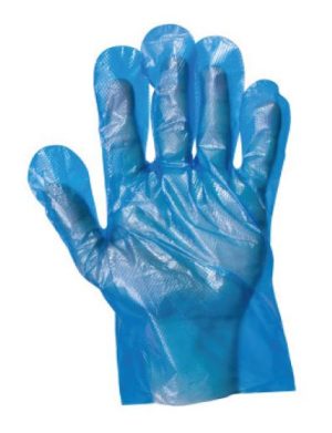 Hand Protection - Gloves S Blue