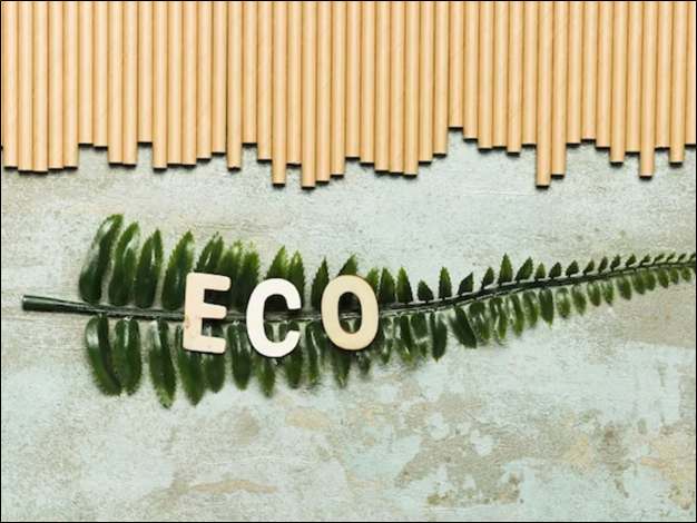 Sustainable and Eco-Friendly Options